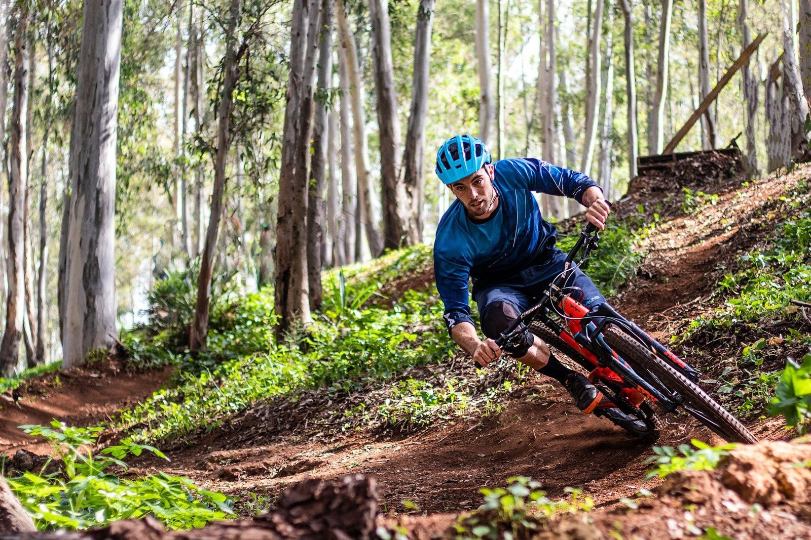 Mountainbike drenthe